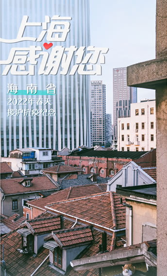上海19mm柱状干冰-厂家直销-中国干冰一级供应商